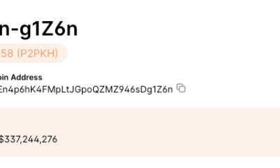 Zonda CEO Discloses Bitcoin Wallet Amid Withdrawal Concerns