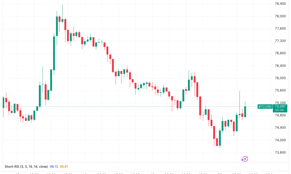 Bitcoin Preserves Green Weekly Candle as Markets React to US-Iran War