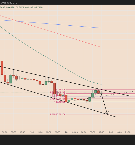 RAVE Token Faces Another 50% Crash Amid Price Manipulation Claims