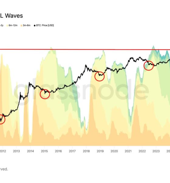 Bitcoin at 80% long term holder supply, edging closer to a classic bottom signal