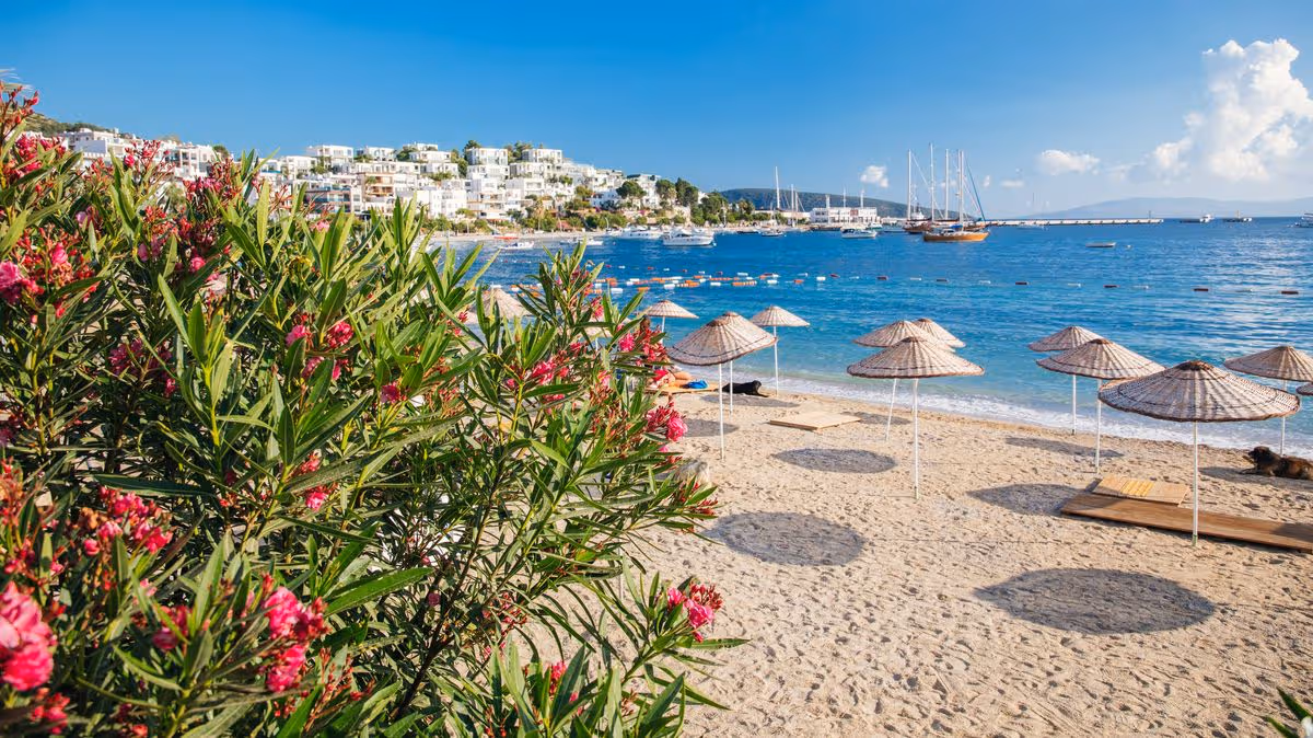 Manchester Evening News