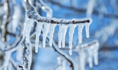 Arbitrum freezes $71 million in ether tied to Kelp DAO exploit