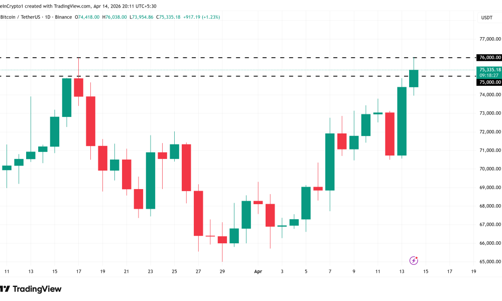 Bitcooin Price Performance