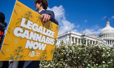 Trump psychedelics executive order and what it means for cannabis