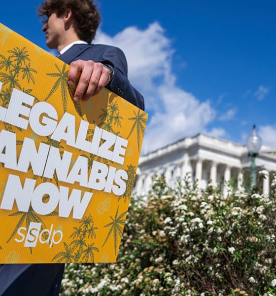 Trump psychedelics executive order and what it means for cannabis