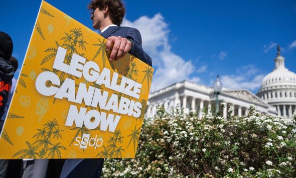 Trump psychedelics executive order and what it means for cannabis