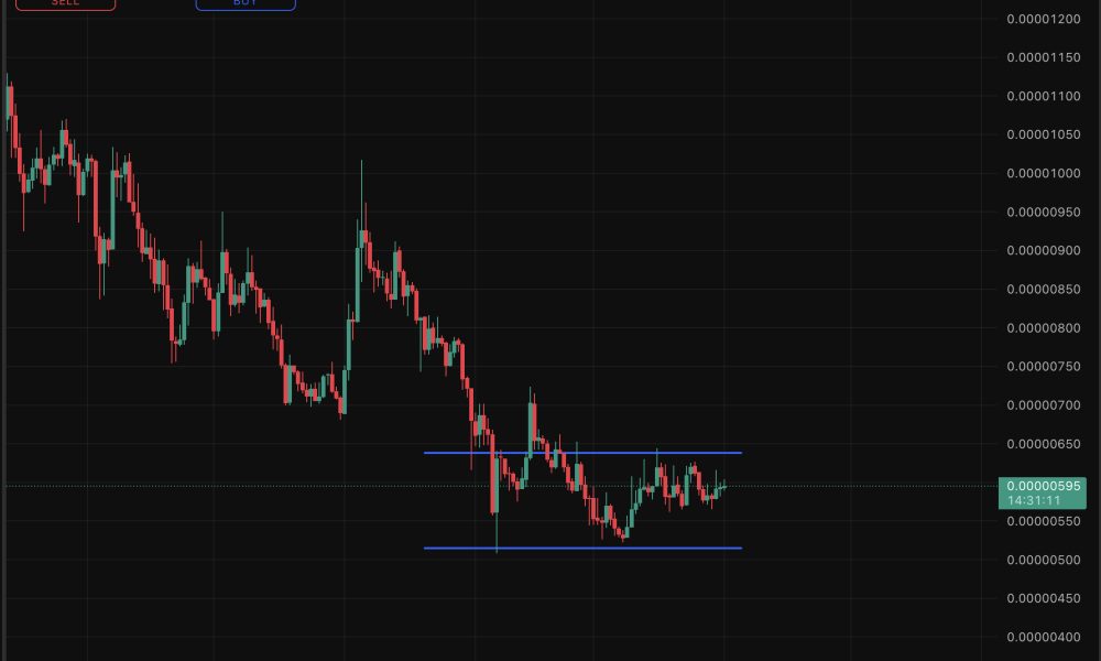 Shiba Inu is consolidating below $0.000006 price level, a line that has flipped from support to resistance, dragging any bullish prediction.