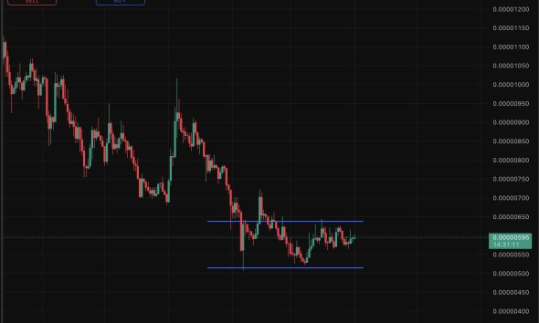 Shiba Inu is consolidating below $0.000006 price level, a line that has flipped from support to resistance, dragging any bullish prediction.