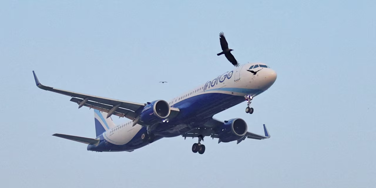 India’s IndiGo Appoints Head of IATA as New CEO
