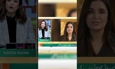 Dr. Fazeela Breaks Silence On Financial Allegations #hamzaaliabbasi #nadiakhan #laundering | EB3Q