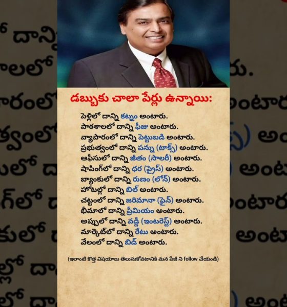 Money Has Many Names | But One Truth #shorts#youtubeshorts