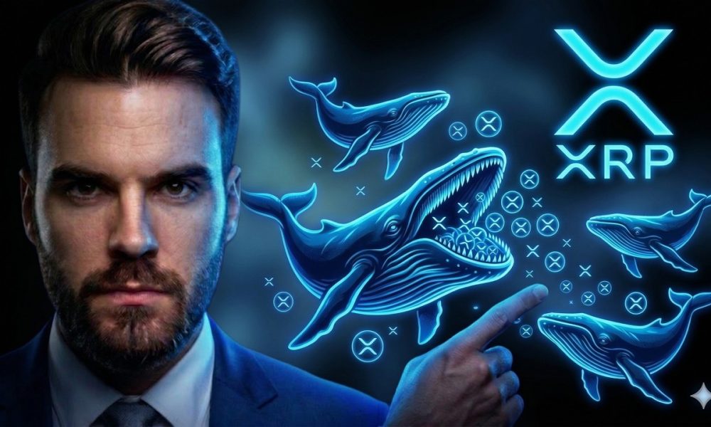 The Great XRP Absorption Event is HAPPENING NOW