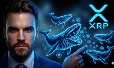 The Great XRP Absorption Event is HAPPENING NOW