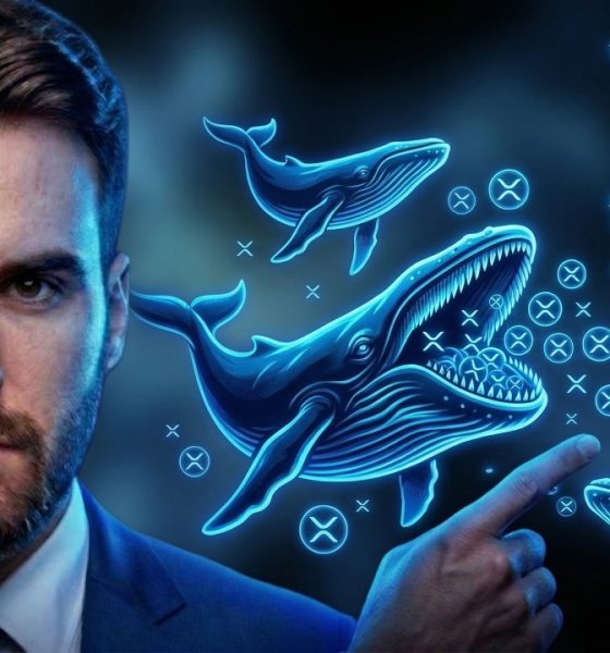 The Great XRP Absorption Event is HAPPENING NOW