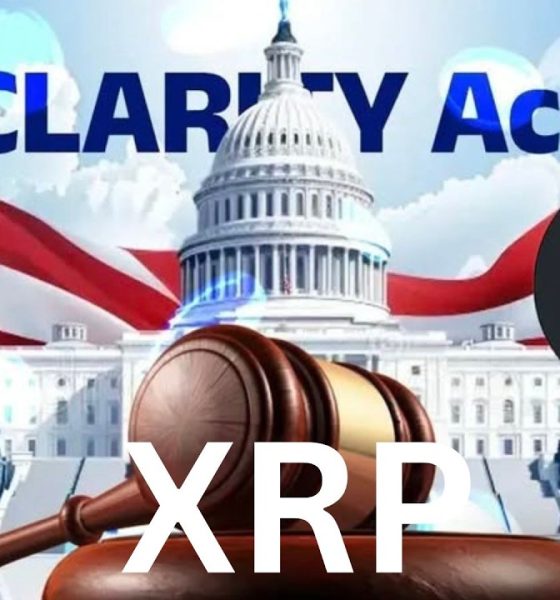 XRP CLARITY ACT WHAT NOW !!!? RIPPLE TO AQUIRE CIRCLE NOW !!!? XRP CRYPTO TAXONOMY !!!!