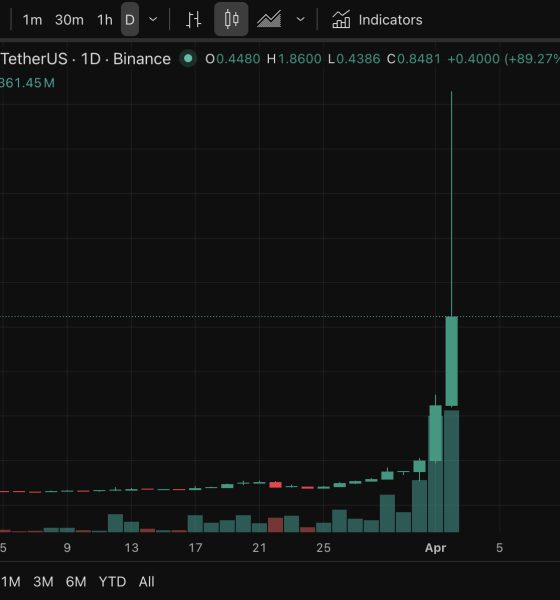 Stakestone crypto, with STO as ticker, exploded 1000% in a week, and the on-chain trail left behind raises more questions than it answers.