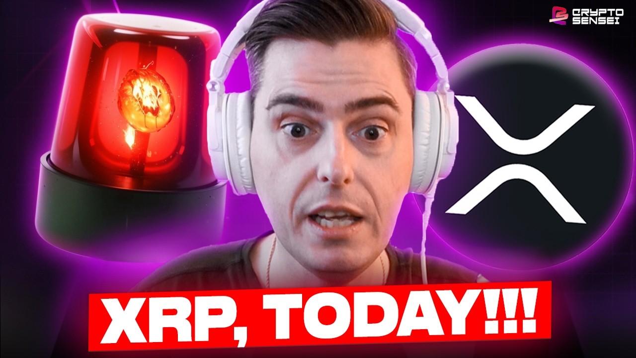 THEY CHANGED EVERYTHING!!!! XRP *NOW*