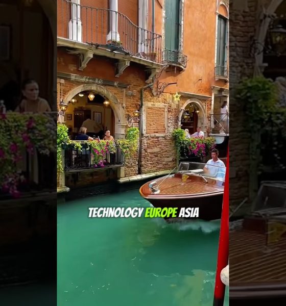 How Is Kevin O’Leary Investing His Money? #kevinoleary #finance #wealth