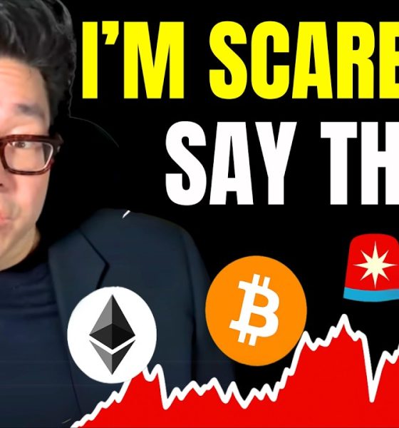 Tom Lee Just Warned That Bitcoin Will Crash Before It Does Something Nobody Has Ever Seen Before