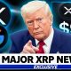 XRP BOMBSHELL!!! GOOGLE CALLED XRP "CRITICAL FINANCIAL PLUMBING"!!!