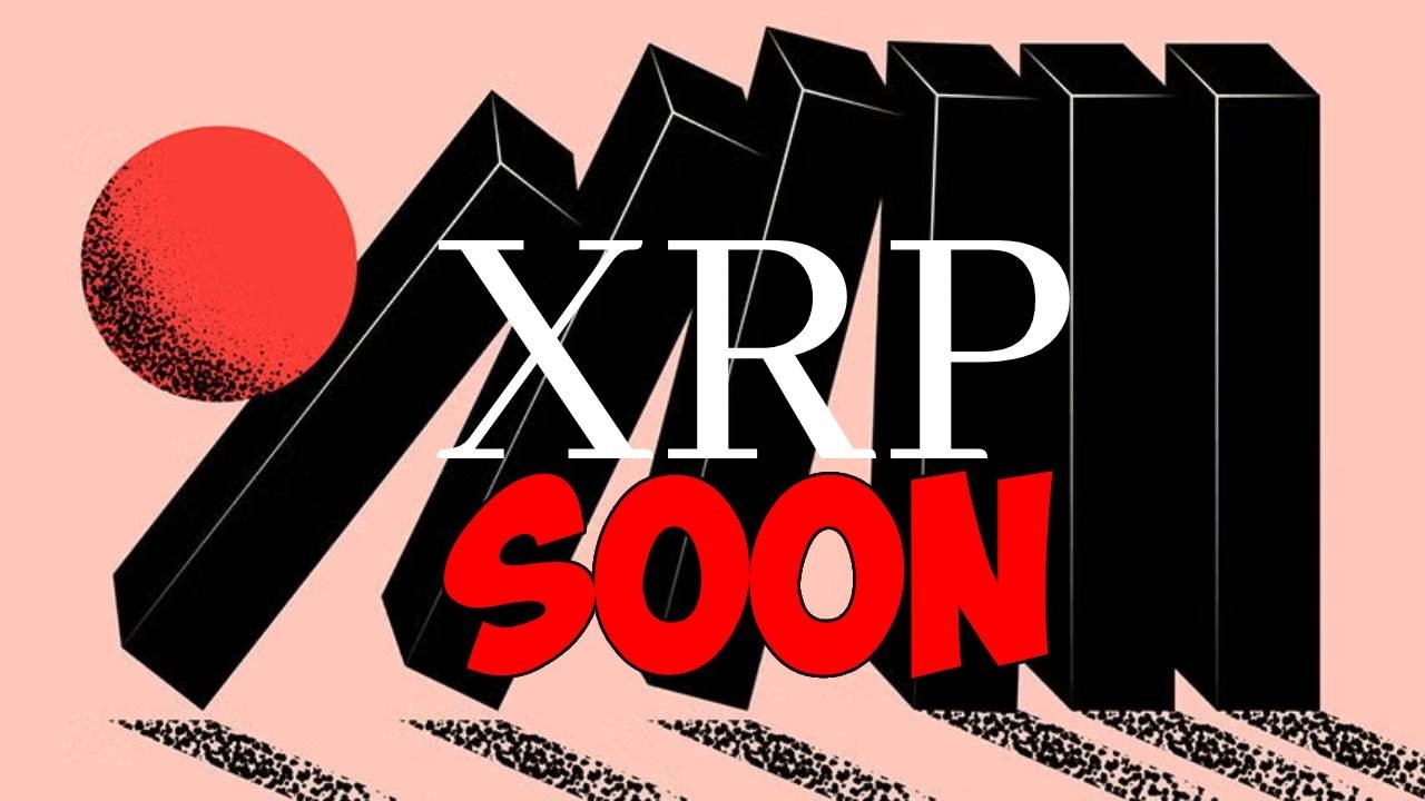 Ripple XRP STARS ALIGNING DAVID SCHWARTZ WARNING MR POOL CONFIRMED JB ABOUT TO EXPLODE JAPAN READY!