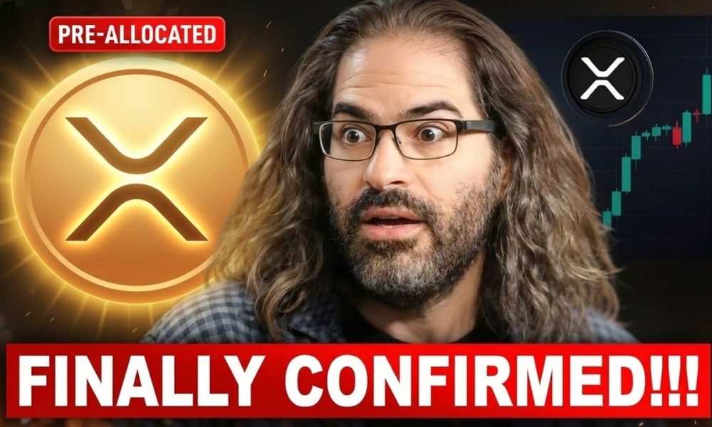 Ripple XRP News - DAVID SCHWARTZ JUST CONFIRMED WHAT NOBODY WAS SUPPOSED TO KNOW!!!