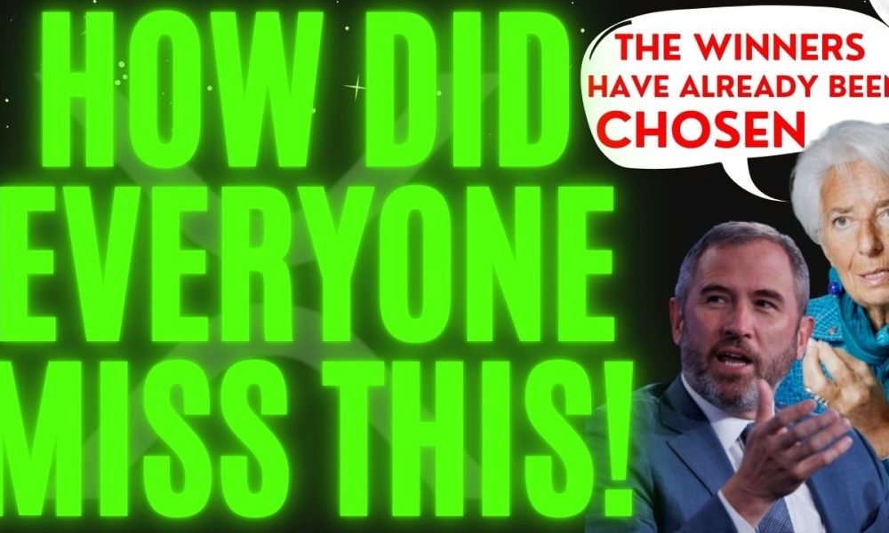 OMG...The IMF Said Ripple/XRP Will Be LEVERAGED and 99% of XRP Holders MISSED THIS! [HARDCORE PROOF]