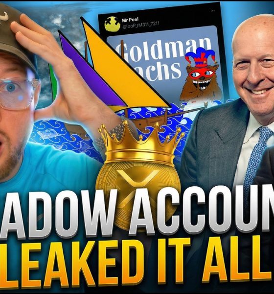 Ripple XRP: “THE SHADOW ACCOUNTS LEAKED IT” Goldman Sachs $154M Secret Filing! (DECODING THE PLAN)