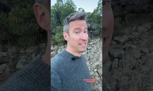 5 Side Hustles that are 100% Scams #money #finance #wealth #tyler