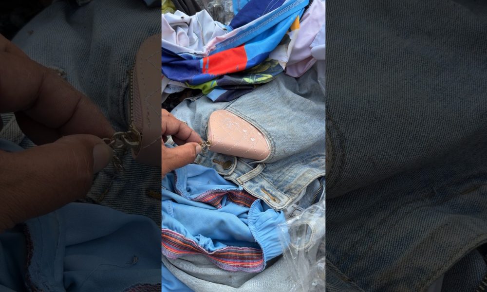 Cut bag! a lots of dollars #money #viral #shortsfeed #shorts