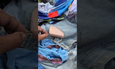 Cut bag! a lots of dollars #money #viral #shortsfeed #shorts