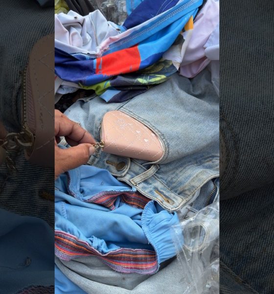 Cut bag! a lots of dollars #money #viral #shortsfeed #shorts