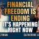 'They Have No Idea What’s Coming': Financial Freedom Disappearing Fast | Catherine Fitts & Schectman