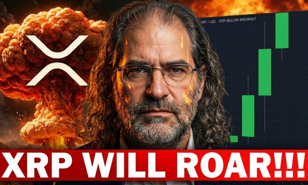 DAVID SCHWARTZ: XRP Bombshell! +70% Market Domination Confirmed!!!