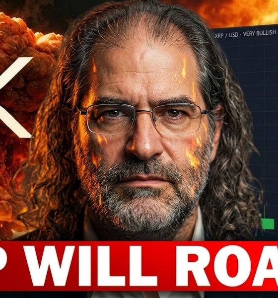 DAVID SCHWARTZ: XRP Bombshell! +70% Market Domination Confirmed!!!