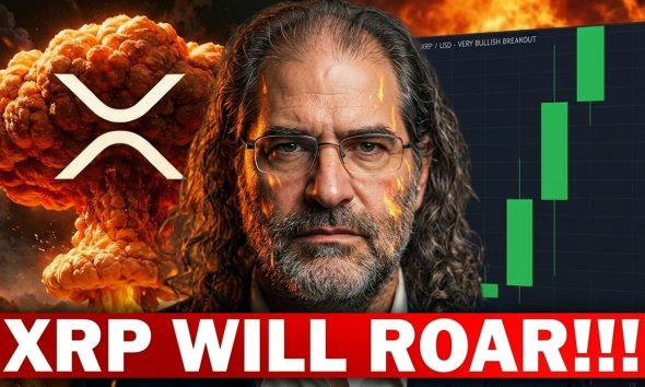 DAVID SCHWARTZ: XRP Bombshell! +70% Market Domination Confirmed!!!