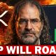DAVID SCHWARTZ: XRP Bombshell! +70% Market Domination Confirmed!!!