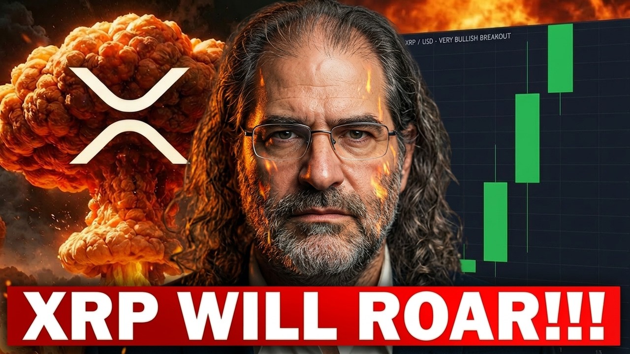 DAVID SCHWARTZ: XRP Bombshell! +70% Market Domination Confirmed!!!