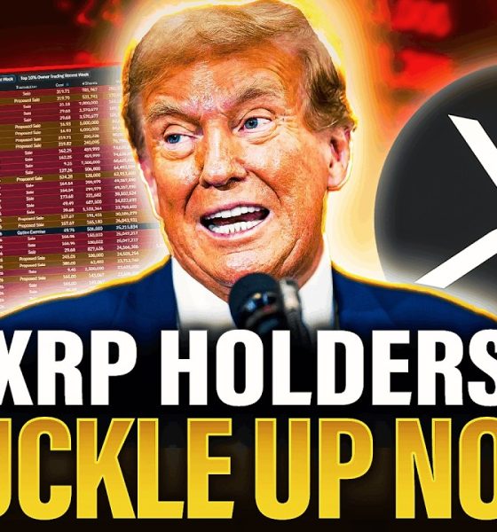 WARNING: INSIDERS JUST DUMPED EVERYTHING! | XRP HOLDERS BUCKLE UP NOW