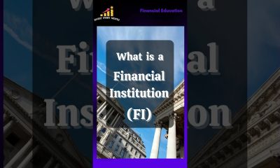 Financial Institution. What  is Financial Institution?