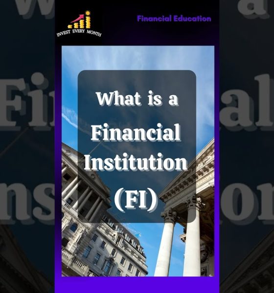 Financial Institution. What  is Financial Institution?