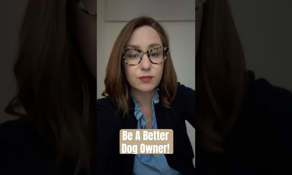 Let’s Talk About Dog Ownership