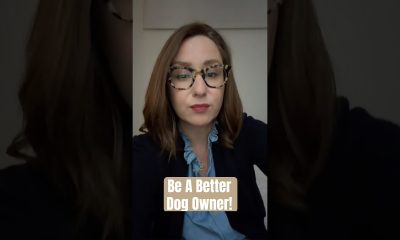 Let’s Talk About Dog Ownership