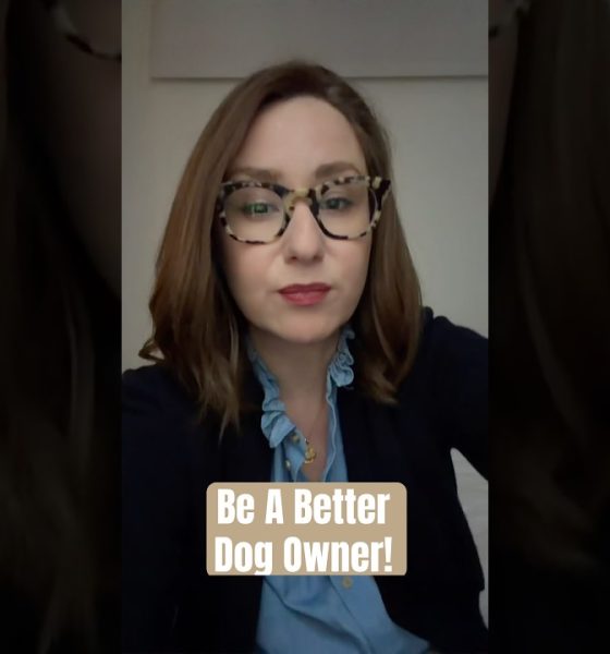 Let’s Talk About Dog Ownership