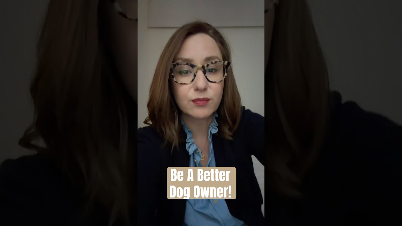 Let’s Talk About Dog Ownership