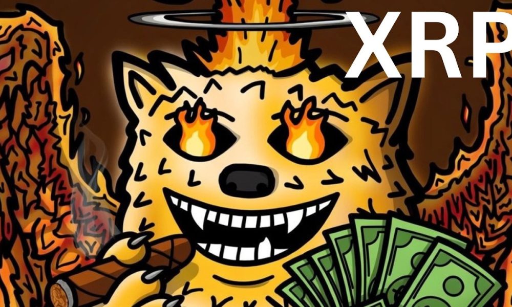 XRP FUZZYBEAR CONFIRMED !!!!!