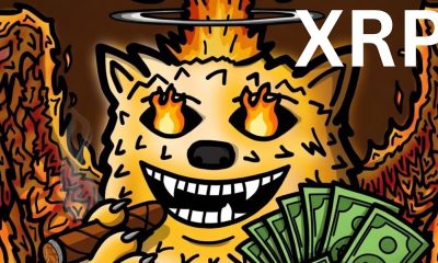 XRP FUZZYBEAR CONFIRMED !!!!!