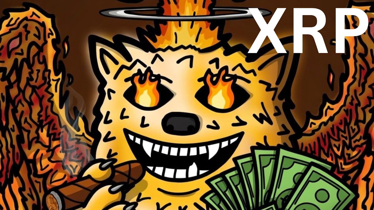 XRP FUZZYBEAR CONFIRMED !!!!!