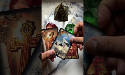 Sua vida financeira vai melhorar? #tarot #tarothoje #tarotgratis #tarotamor