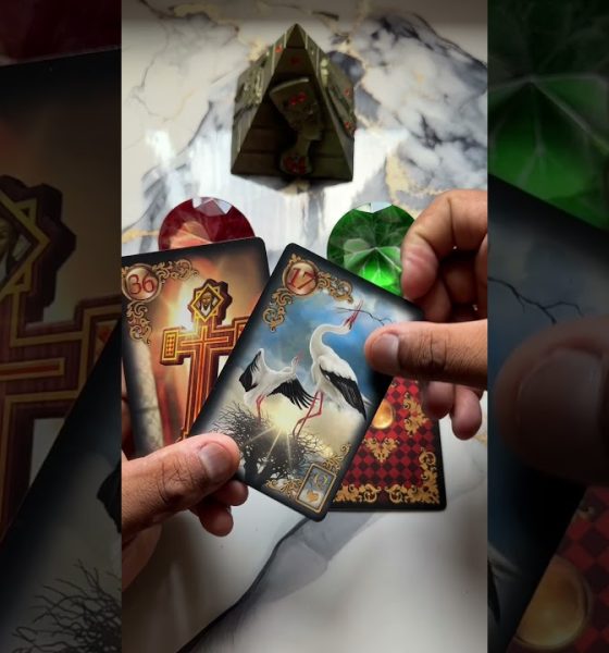 Sua vida financeira vai melhorar? #tarot #tarothoje #tarotgratis #tarotamor
